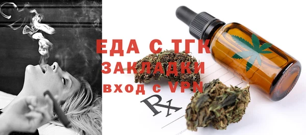 индика Инсар