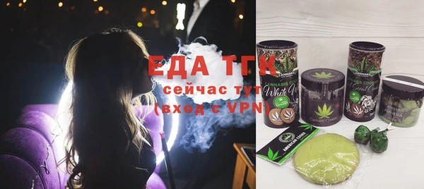 индика Инсар