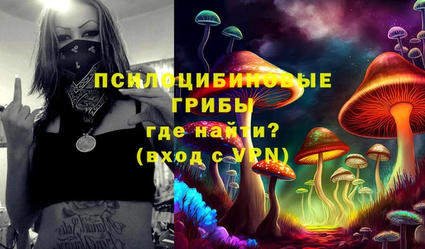 молекула духа Касимов