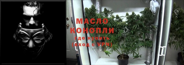 индика Инсар