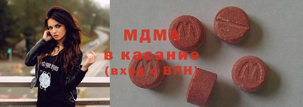индика Инсар