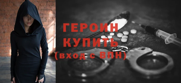 индика Инсар