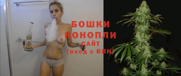 МДПВ Инта