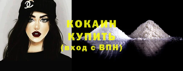индика Инсар