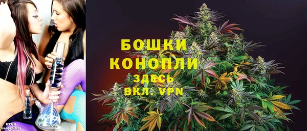 индика Инсар