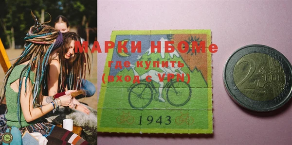 индика Инсар