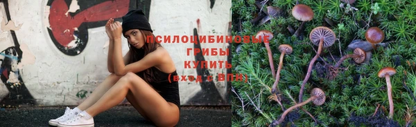 индика Инсар