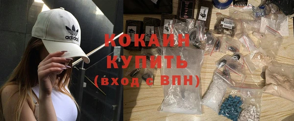 индика Инсар