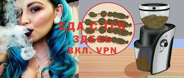 индика Инсар