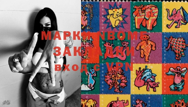 индика Инсар