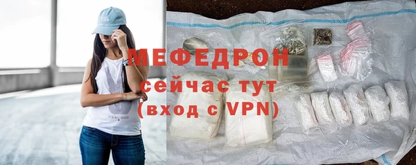 индика Инсар