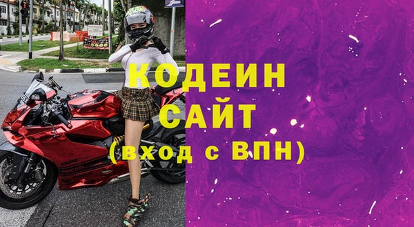 МДПВ Инта